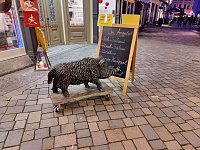 Bild: Auf dem Quedlinburger Weihnachtsmarkt