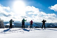 Bild: Humboldtianer auf j&auml;hrlicher Skifahrt