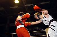 Bild: 1. Boxnacht 2007