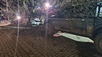 Bild: Morscher Baum begrub zwei Fahrzeuge unter sich
