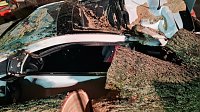 Bild: Morscher Baum begrub zwei Fahrzeuge unter sich