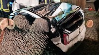 Bild: Morscher Baum begrub zwei Fahrzeuge unter sich
