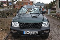 Bild: Morscher Baum begrub zwei Fahrzeuge unter sich
