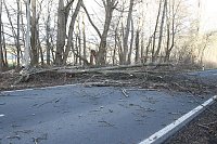 Bild: Sturmsch&auml;den auf der Landstra&szlig;e
