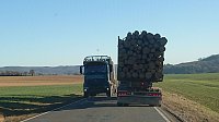 Bild: Holztransporte im S&uuml;dharz