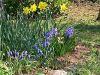 Bild: Fr&uuml;hlingserwachen