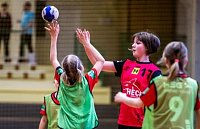 Handball in der Ballspielhalle Bild: Handball in der Ballspielhalle