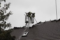 Bild: Dachstuhlbrand in Heringen 