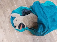 Bild: Lesenacht in Salzaer Grundschule