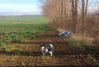 Müllfund auf dem Weg nach Bielen Bild: Müllfund auf dem Weg nach Bielen
