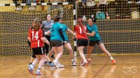 Bild: nnz-Ergbnisdienst: Handball - die Spiele vom Wochenende