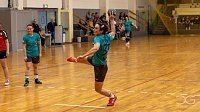 Bild: nnz-Ergbnisdienst: Handball - die Spiele vom Wochenende