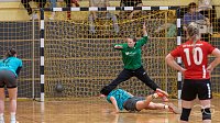 Bild: nnz-Ergbnisdienst: Handball - die Spiele vom Wochenende