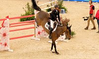 Bild: Peter Blei unterwegs auf der "Partner Pferd" in Leipzig