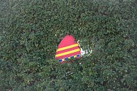 Peter Blei auf Osterspaziergang Bild: Peter Blei auf Osterspaziergang