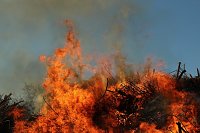 Osterfeuer bei Krimderode Bild: Osterfeuer bei Krimderode