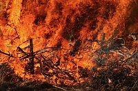 Osterfeuer bei Krimderode Bild: Osterfeuer bei Krimderode