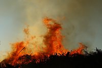 Osterfeuer bei Krimderode Bild: Osterfeuer bei Krimderode