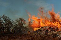Osterfeuer bei Krimderode Bild: Osterfeuer bei Krimderode