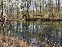 Bild: Auf dem Baumkronenpfad