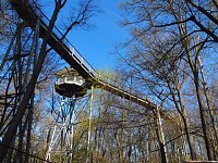 Bild: Auf dem Baumkronenpfad
