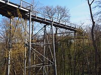 Bild: Auf dem Baumkronenpfad
