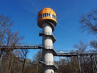 Bild: Auf dem Baumkronenpfad