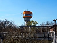 Bild: Auf dem Baumkronenpfad