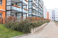 Bild: Senioren-Wohnprojekt Aueblick der WBG S&uuml;dharz
