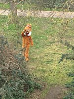 Bild: Oster&uuml;berraschung in der Kita Sonnenschein