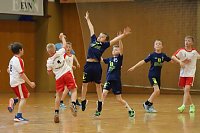 Bild: NSV Ergebnissdienst Handball