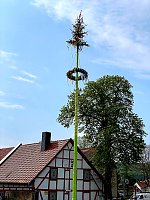 Bild: In Wolkramshausen durfte man heute endlich wieder einen Maibaum setzen