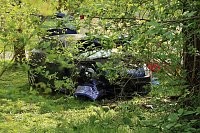 Bild: T&ouml;dlicher Unfall auf der Parkallee in Nordhausen