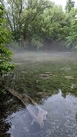 Wanderung am 21. Mai in den Gipskarst Bild: Wanderung am 21. Mai in den Gipskarst