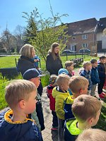 Schmetterlingsprojekt im Kindergarten Bild: Schmetterlingsprojekt im Kindergarten