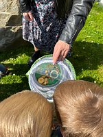 Schmetterlingsprojekt im Kindergarten Bild: Schmetterlingsprojekt im Kindergarten