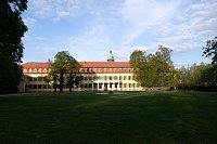 Sie brüten noch! Bild: Sie brüten noch!