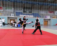 Bild: Landesmeisterschaft Wushu in Nordhausen