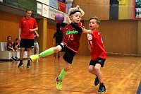 Impressionen vom Nordhäuser Handball am Wochenende Bild: Impressionen vom Nordhäuser Handball am Wochenende