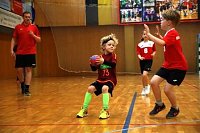 Impressionen vom Nordhäuser Handball am Wochenende Bild: Impressionen vom Nordhäuser Handball am Wochenende