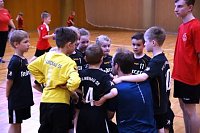 Impressionen vom Nordhäuser Handball am Wochenende Bild: Impressionen vom Nordhäuser Handball am Wochenende
