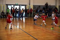 Impressionen vom Nordhäuser Handball am Wochenende Bild: Impressionen vom Nordhäuser Handball am Wochenende