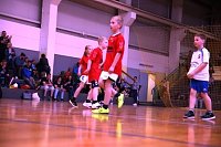Impressionen vom Nordhäuser Handball am Wochenende Bild: Impressionen vom Nordhäuser Handball am Wochenende