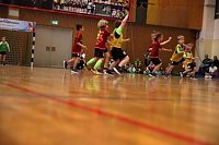 Impressionen vom Nordhäuser Handball am Wochenende Bild: Impressionen vom Nordhäuser Handball am Wochenende