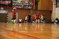 Impressionen vom Nordhäuser Handball am Wochenende Bild: Impressionen vom Nordhäuser Handball am Wochenende