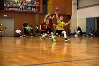 Impressionen vom Nordhäuser Handball am Wochenende Bild: Impressionen vom Nordhäuser Handball am Wochenende