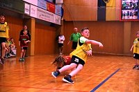 Impressionen vom Nordhäuser Handball am Wochenende Bild: Impressionen vom Nordhäuser Handball am Wochenende