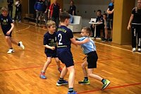 Impressionen vom Nordhäuser Handball am Wochenende Bild: Impressionen vom Nordhäuser Handball am Wochenende