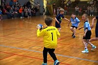 Impressionen vom Nordhäuser Handball am Wochenende Bild: Impressionen vom Nordhäuser Handball am Wochenende