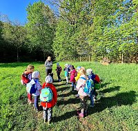 Bild: Waldprojekt im Kindergarten